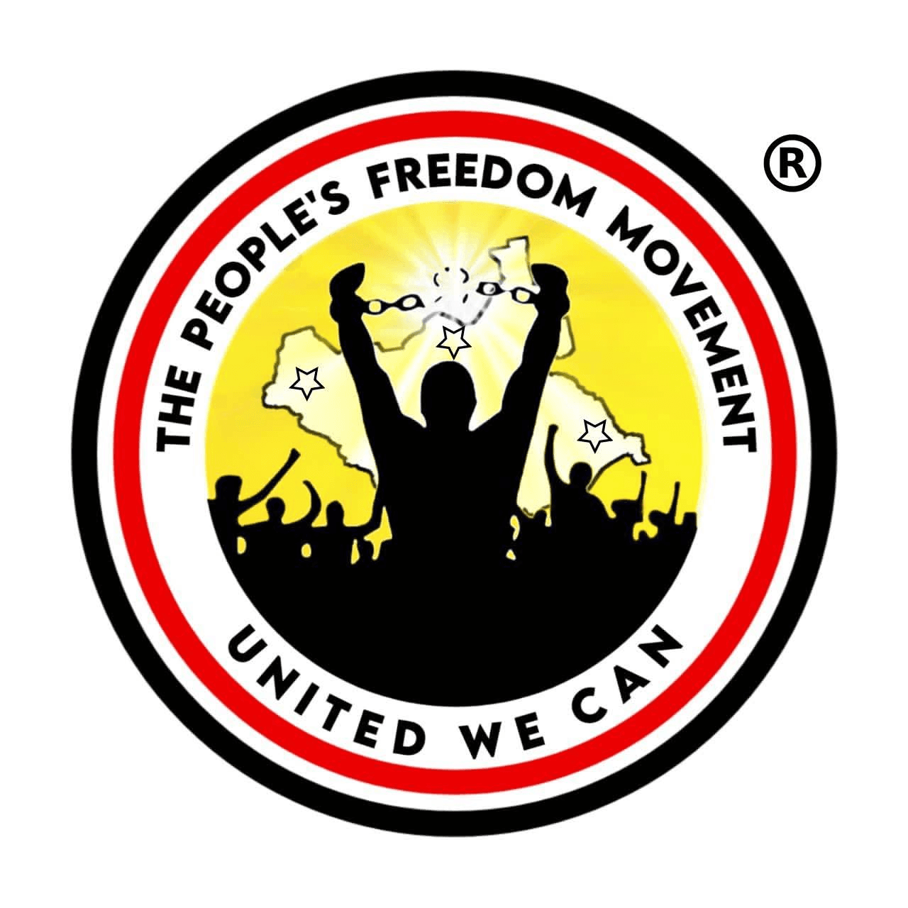 PFM Logo